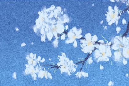今非昔比是什么生肖(今非昔比代表什么生肖准确)